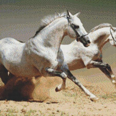 click here to view larger image of Two White Stallions (chart)