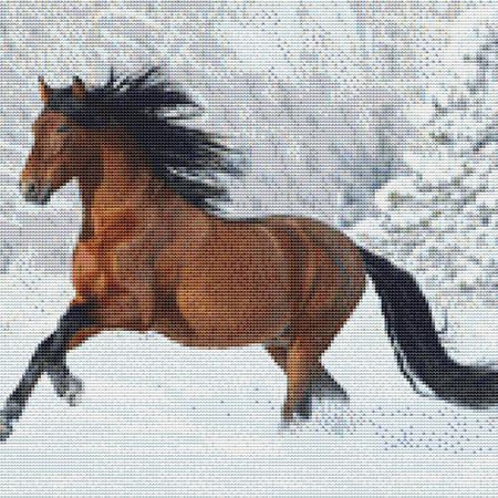 Snowside Stallion