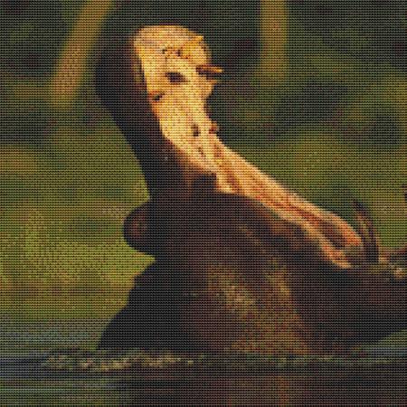 click here to view larger image of Yawning Hippo (chart)