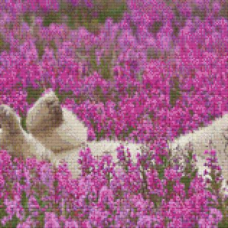 Flower Field Polar  Bear