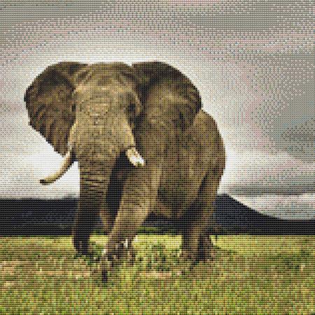Grasslands Elephant