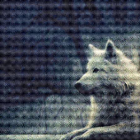 Watching White Wolf