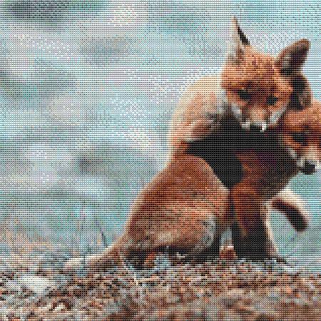 Two Cuddling Foxes