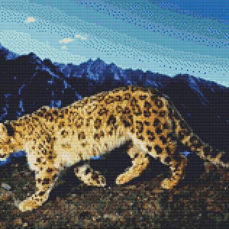 Mountainside Leopard