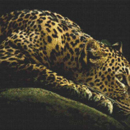 Dark Resting Leopard