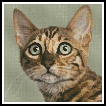 click here to view larger image of Mini Bengal Cat  (Eric Isselee) (chart)