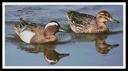 click here to view larger image of Garganey Ducks (chart)