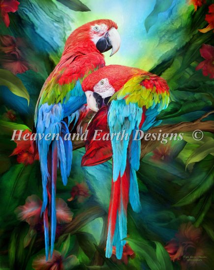 Tropic Spirit Macaws