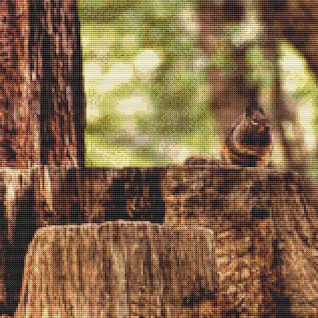 Treetop Squirrel