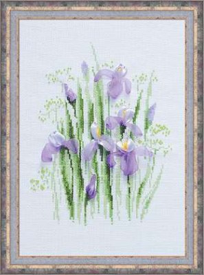 Spring Irises