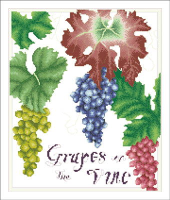 Grapes On The Vine
