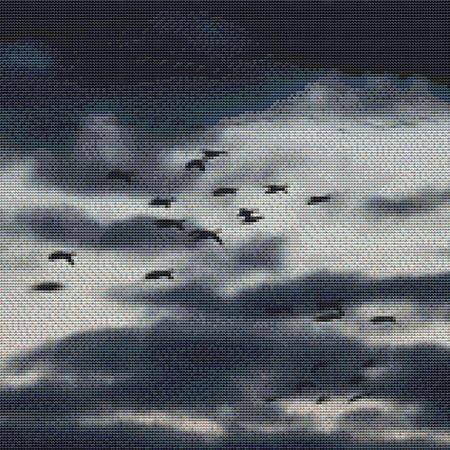 Stormy Skies Bird Flock