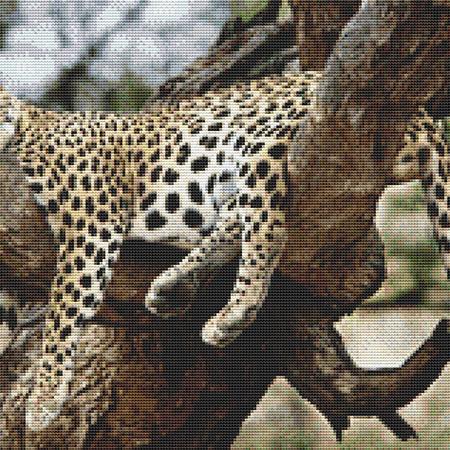 Lazy Lazy Leopard