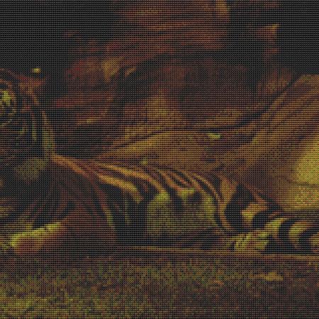 Lazy Tiger