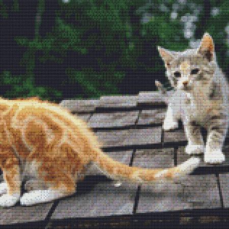 Two Kittens On A Roof