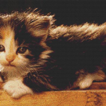 click here to view larger image of Adorable Calico Kitten (chart)