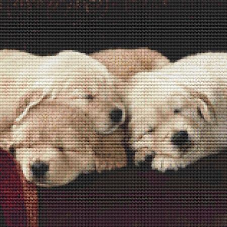 Sleeping Cuddly Dogs