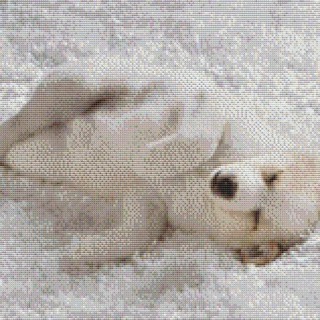 Lazy White Dog