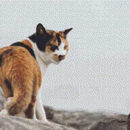 click here to view larger image of Wild Calico Cat (chart)