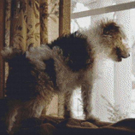 Dog Staring Out A Window
