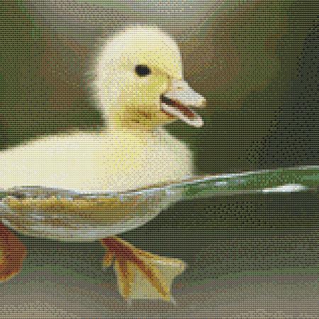 Cute Yellow Duckling