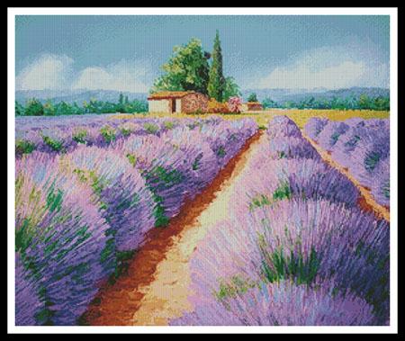 Lavender Scent  (Jean-Marc Janiaczyk)