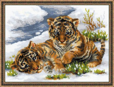 Tiger Cubs In Snow