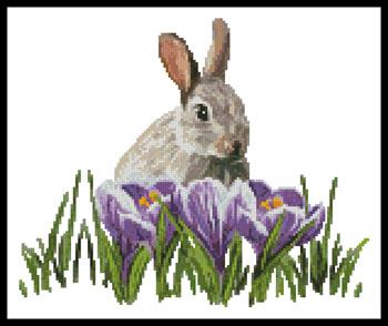 click here to view larger image of Crocus Bunny  (Claire Harkness) (chart)