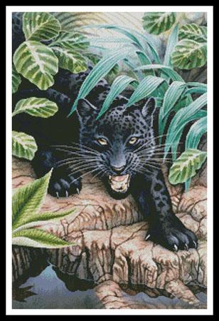 click here to view larger image of Black Panther In The Jungle  (Howard Robinson) (chart)