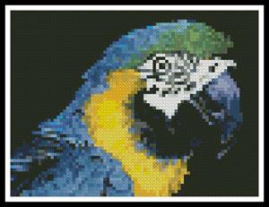 Mini Blue and Yellow Macaw