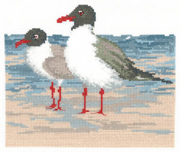 click here to view larger image of Laughing Gulls (chart)