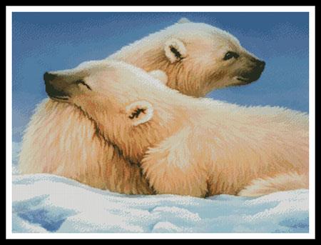 Polar Bears  (Howard Robinson)