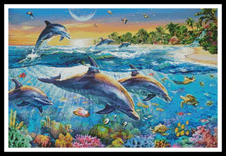 Dolphin Bay  (Adrian Chesterman)