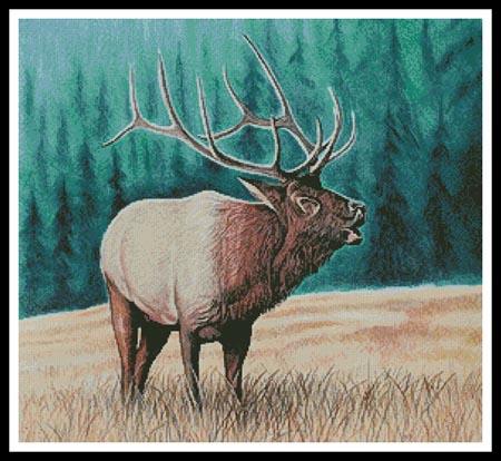 Elk Bugler 2  (Mike Bennett)