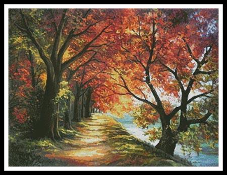 Sunny Autumn Path  (Anca Bulgaru)