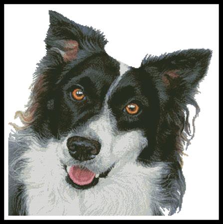 click here to view larger image of Border Collie Painting  (Helen Chugg) (chart)