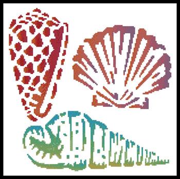 Sea Shells  (Joni Prittie)