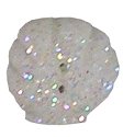 Glittery Clam Shell Button