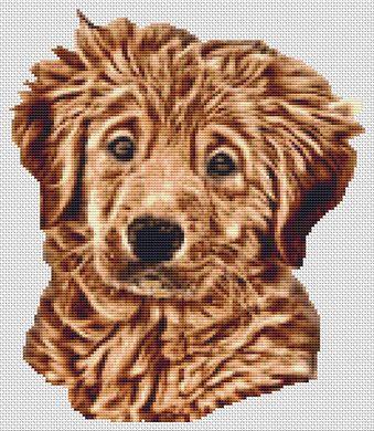 click here to view larger image of Wet Golden Retriever Puppy (chart)