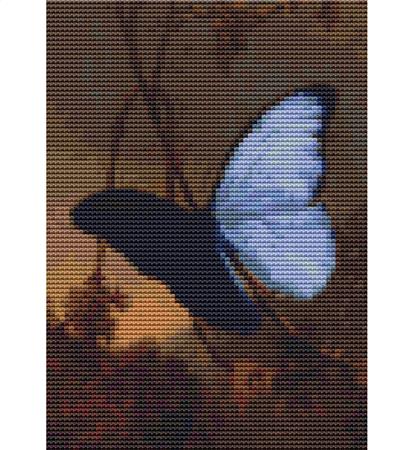 Blue Morpho Butterfly (mini chart) (Martin Johnson Heade)