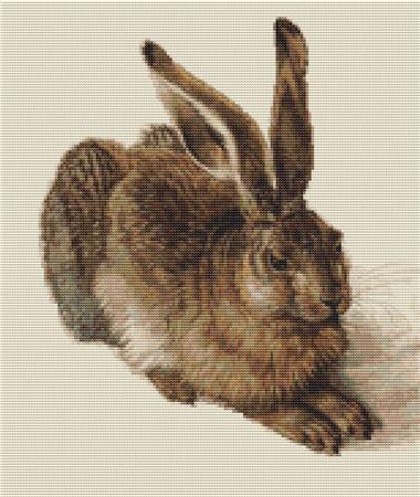 Young Hare, The (Albrecht Durer)