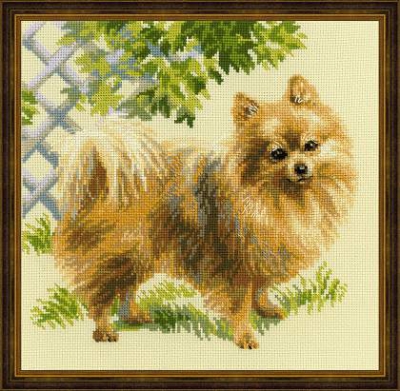 click here to view larger image of Pomeranian (counted cross stitch kit)