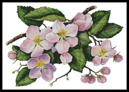 click here to view larger image of Apple Blossoms Painting  (Maureen McCarthy) (chart)