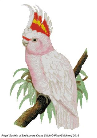 click here to view larger image of RSBL Cockatoo Leadbeaters (chart)