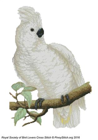 click here to view larger image of RSBL Cockatoo Great White Crested (chart)