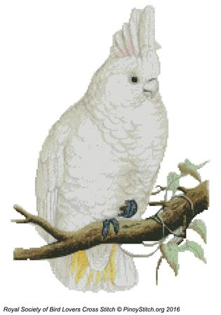 click here to view larger image of RSBL Cockatoo Goffins (chart)