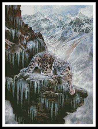 Snow Leopard High Country  (John Enright)