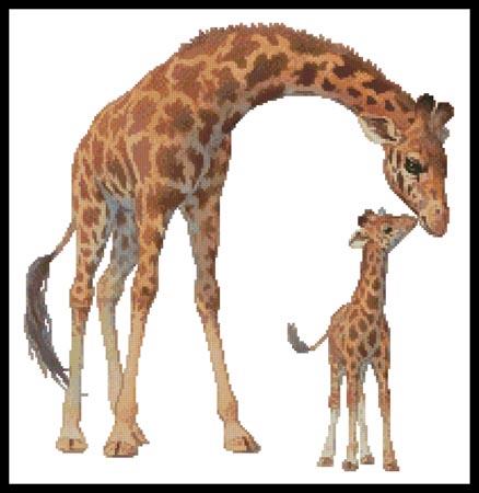 Giraffe And Calf