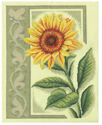 C-1169 Sunflower