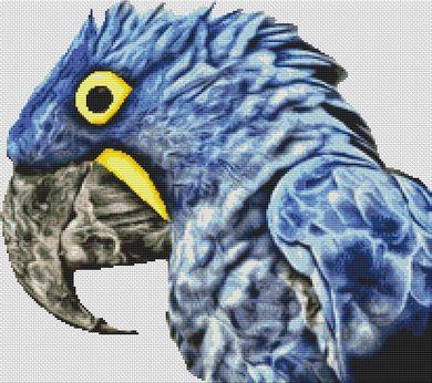 Blue Parrot 2